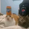 Вика Нойз